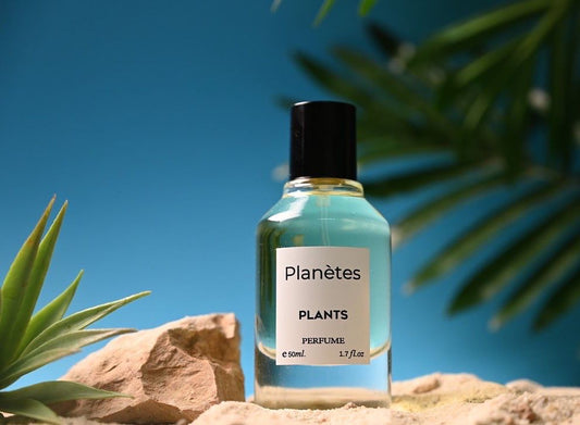 عطر بلانتيس بلانتس 50 مل  Planètes Plants 50ml